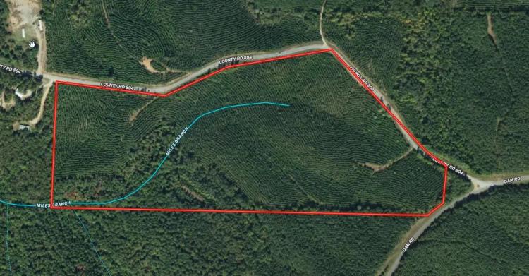 49.5+/- ac all wooded with long paved frontage 
