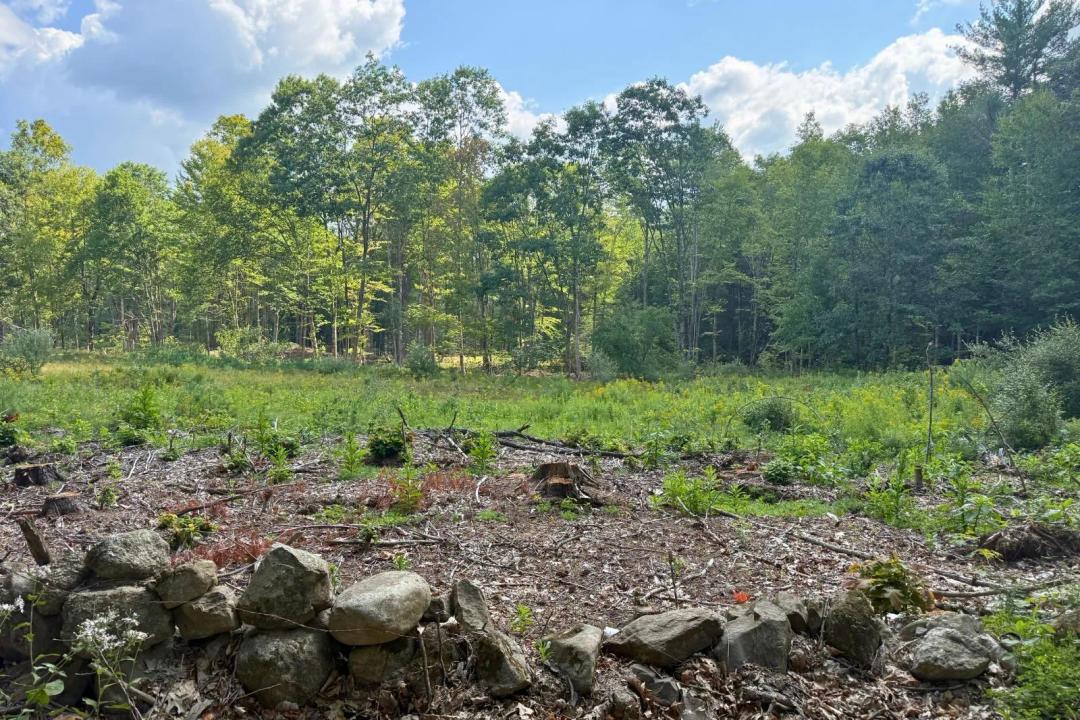 6.81 Acres at  Roxbury Road