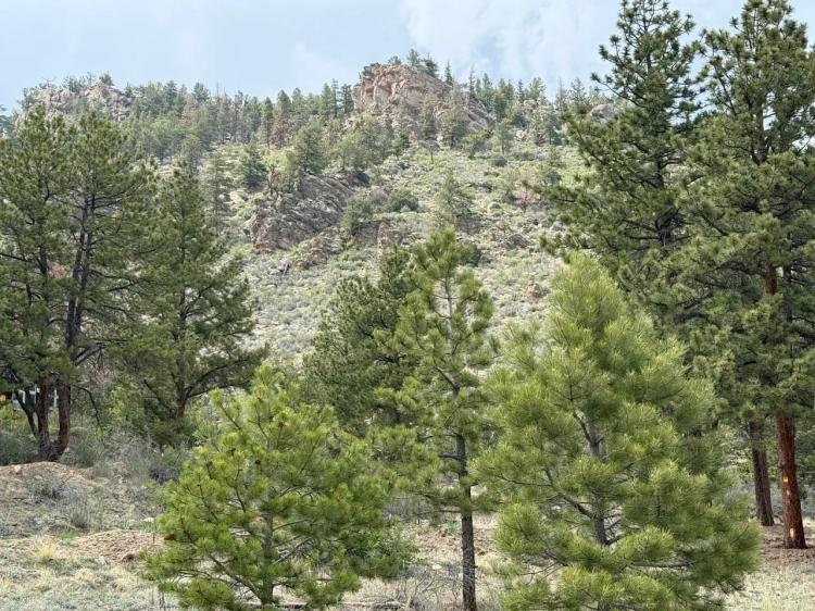 Silver Springs Ranch
