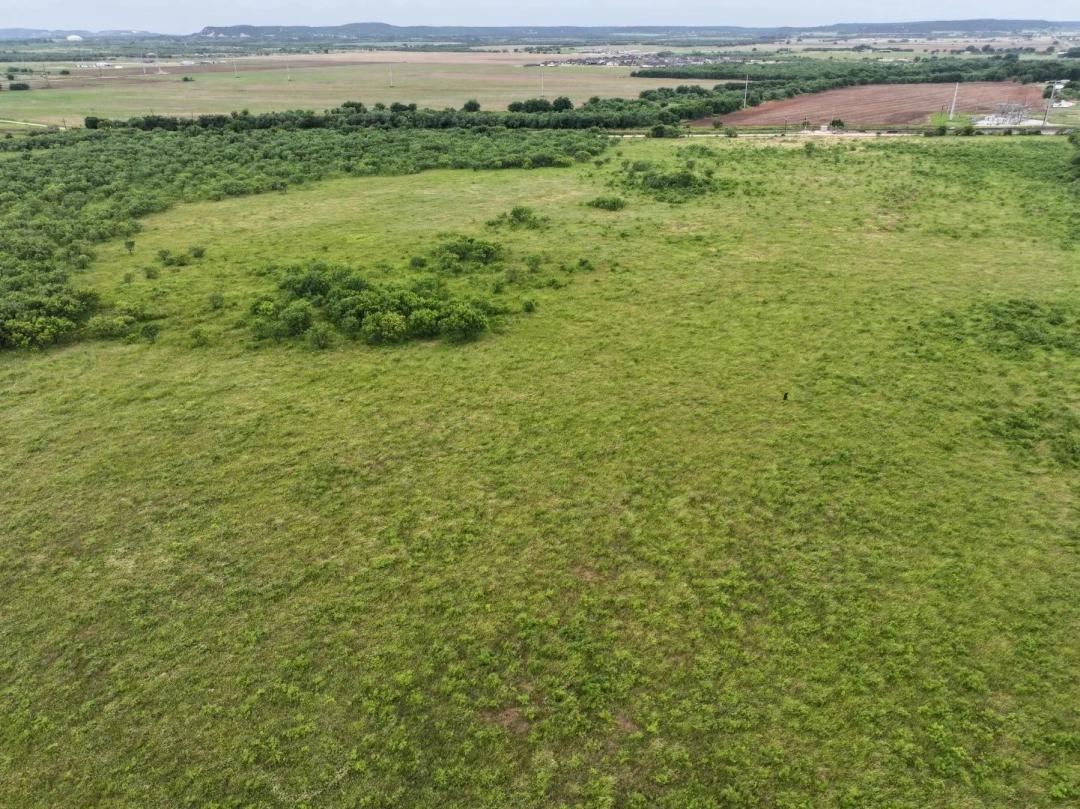 2.10 Acres, TBD CR 161, Tuscola (Lot 1)