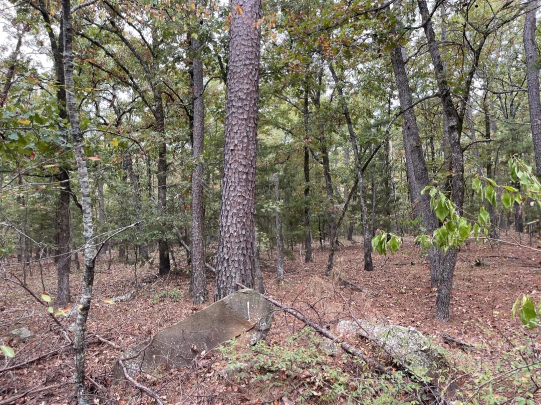 Wooded two acre retreat