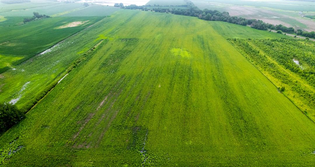 Rock Island County, Illinois 103 Acres For Sale