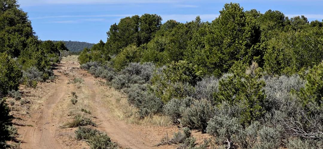 1 Acre Taos Tres Piedras New Mexico - Camp RV Build No restrictions