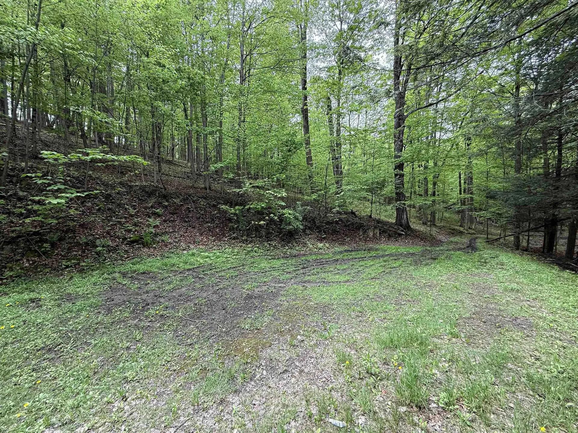 55577543-20