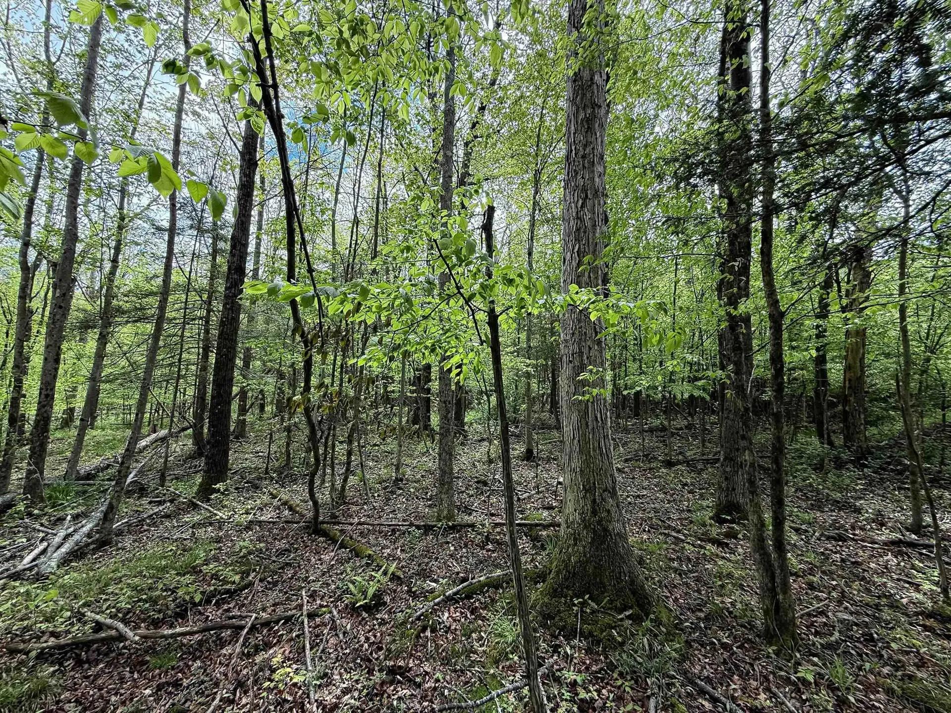 55577543-23