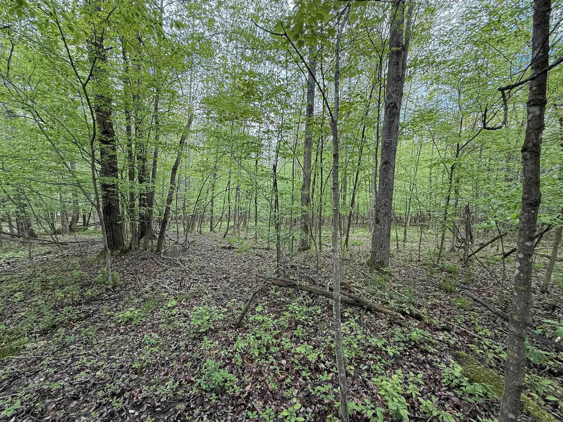 55577543-24