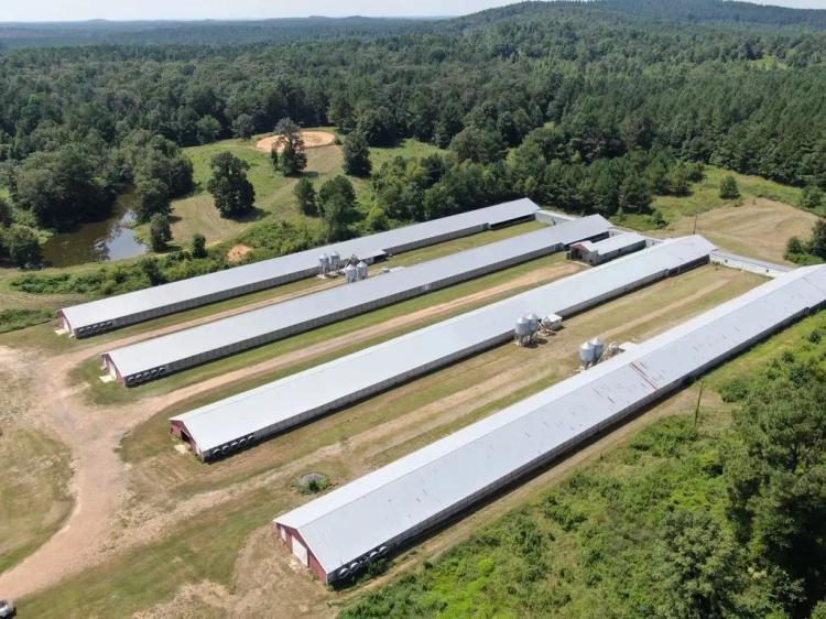 NEW PRICE - Estes Breeder Farm