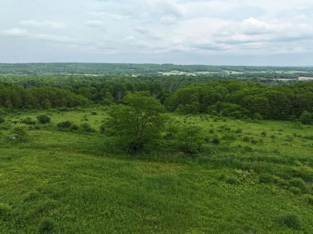 24.5 acres Recreational Land and Hunting Land with Building Site in South Dayton NY Dye Road
