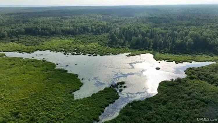 Parcel A-2 40 Acres 50160028