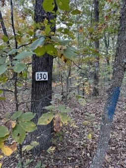 5566773-4