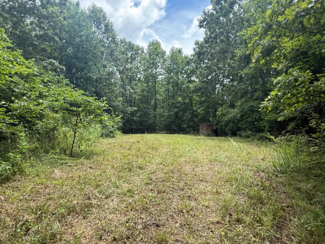 80.94 Acres, Secluded and within 5 Minutes of Dale Hollow