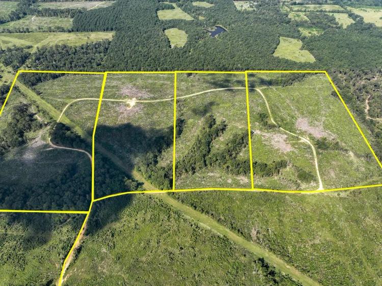 55 Acres | T-6 | Off CR 4916