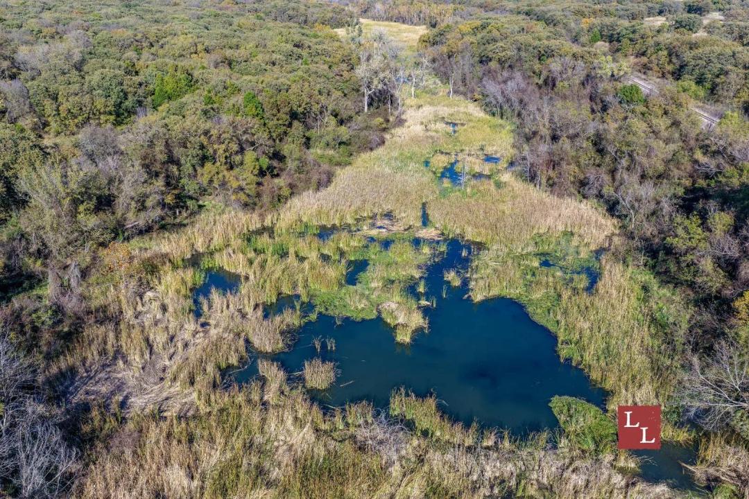 Gladney Springs
