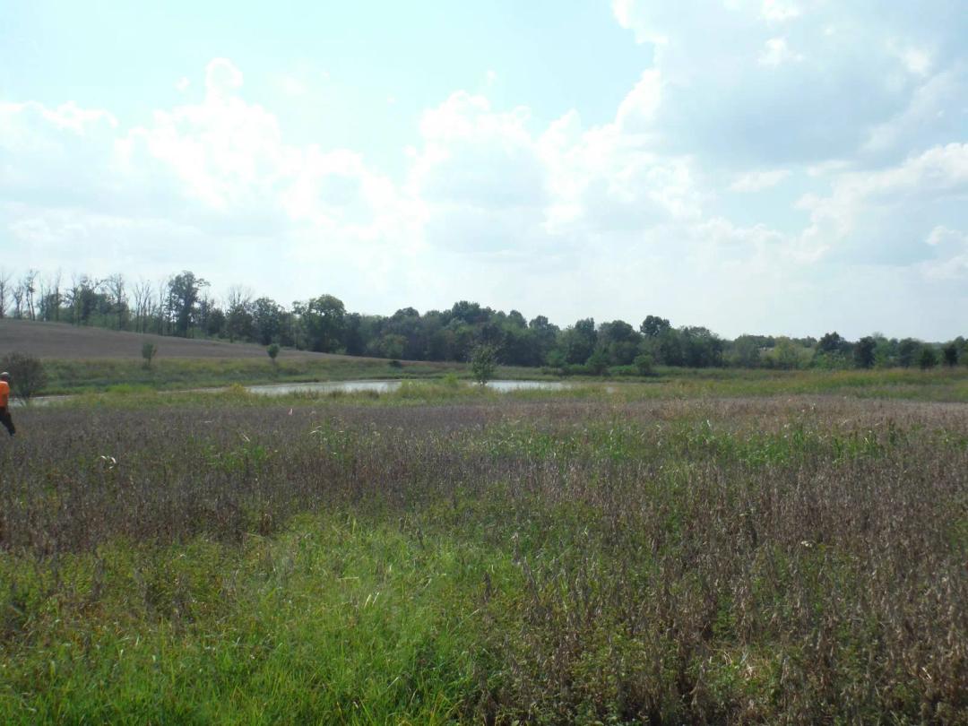 44.39 ACRES OF BEAUTIFUL ROLLING FARMLAND
