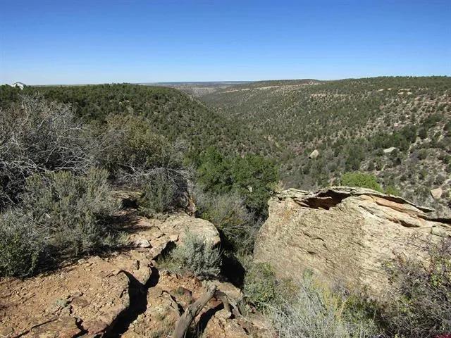 Ryman Canyon Ranch