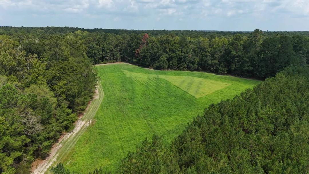 Williams Tract