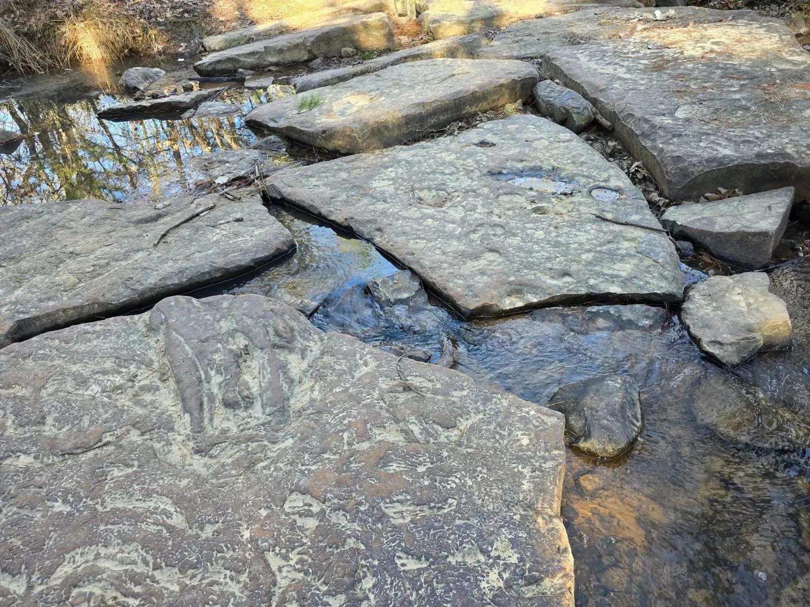 55762438-9