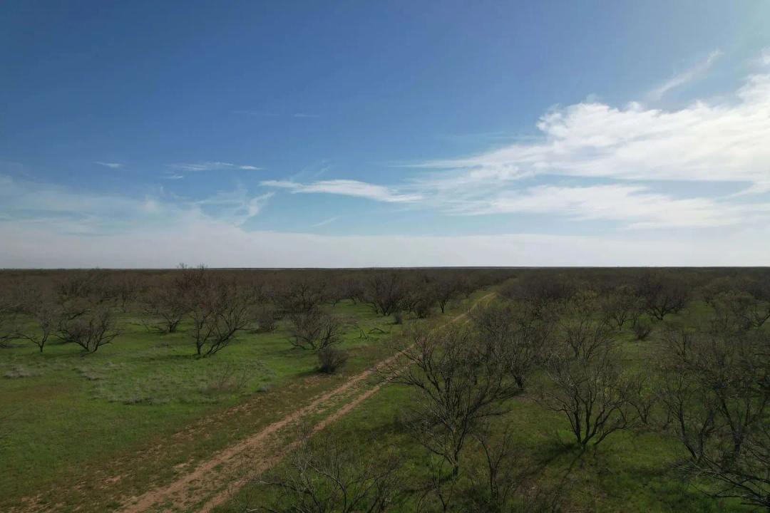 Foard County Ranch
