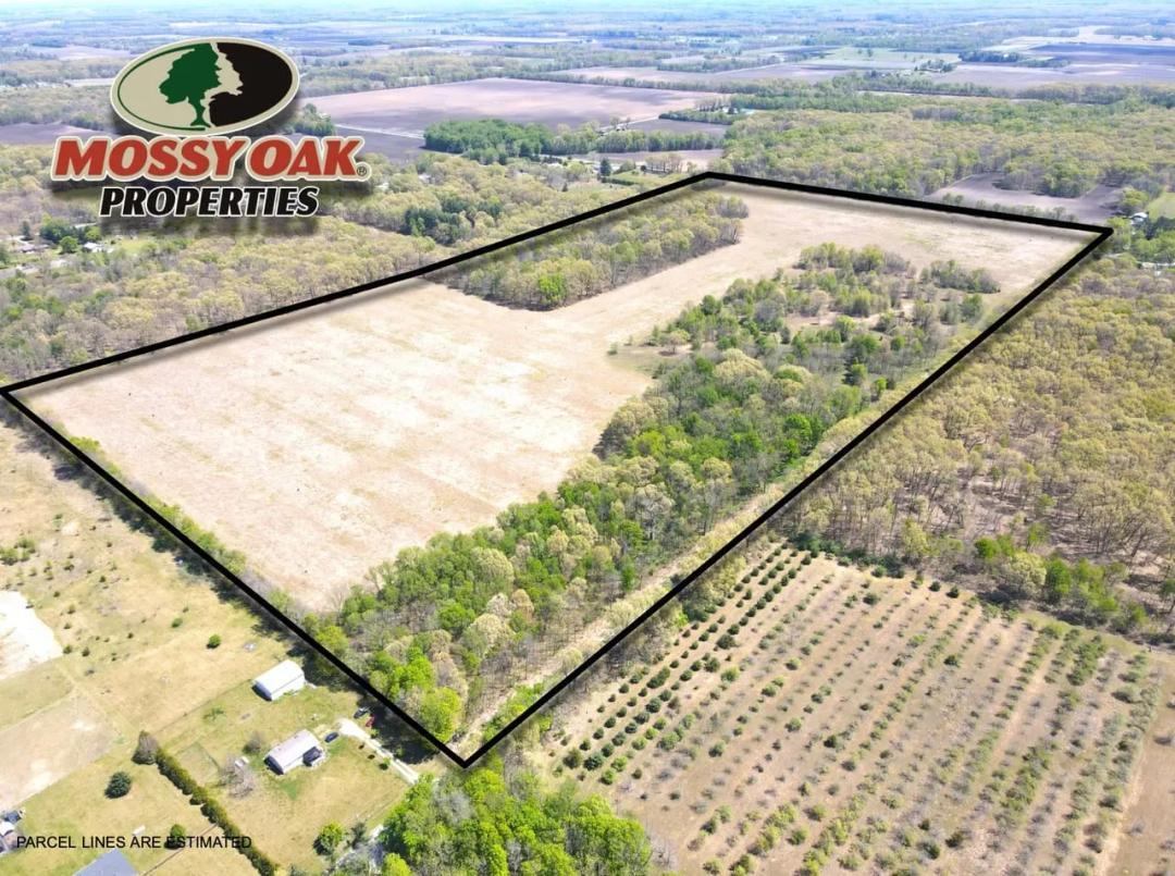 80 +/- ACRES - STARKE COUNTY - ROAD FRONTAGE - POTENTIAL BUILDING SITES - LAND FOR SALE
