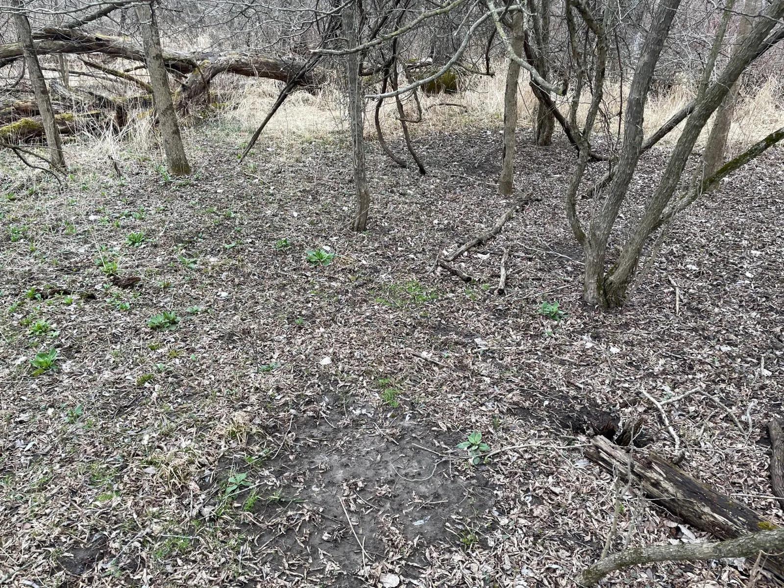 55857462-8
