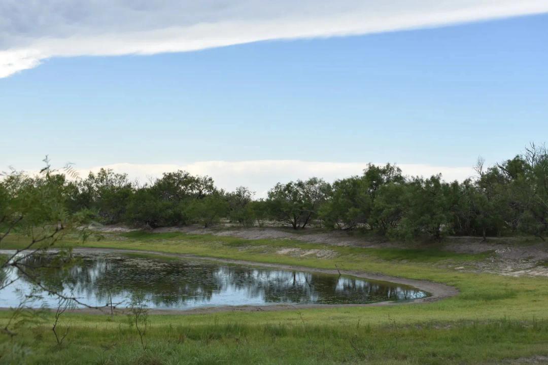 2257 Acres Riddle Ranch