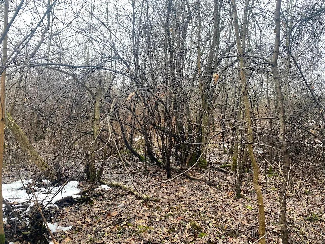 55865331-10