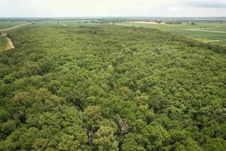 99 Acres in Sunflower County in Shaw, MS