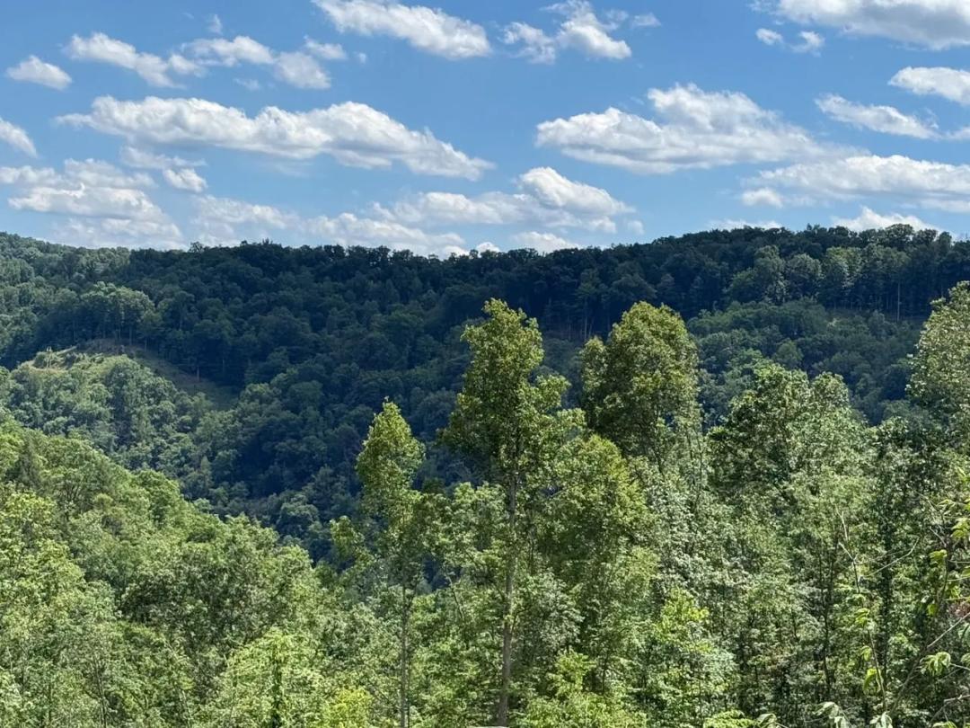120.10 +/- Acres of Recreational Land in Kanawha County
