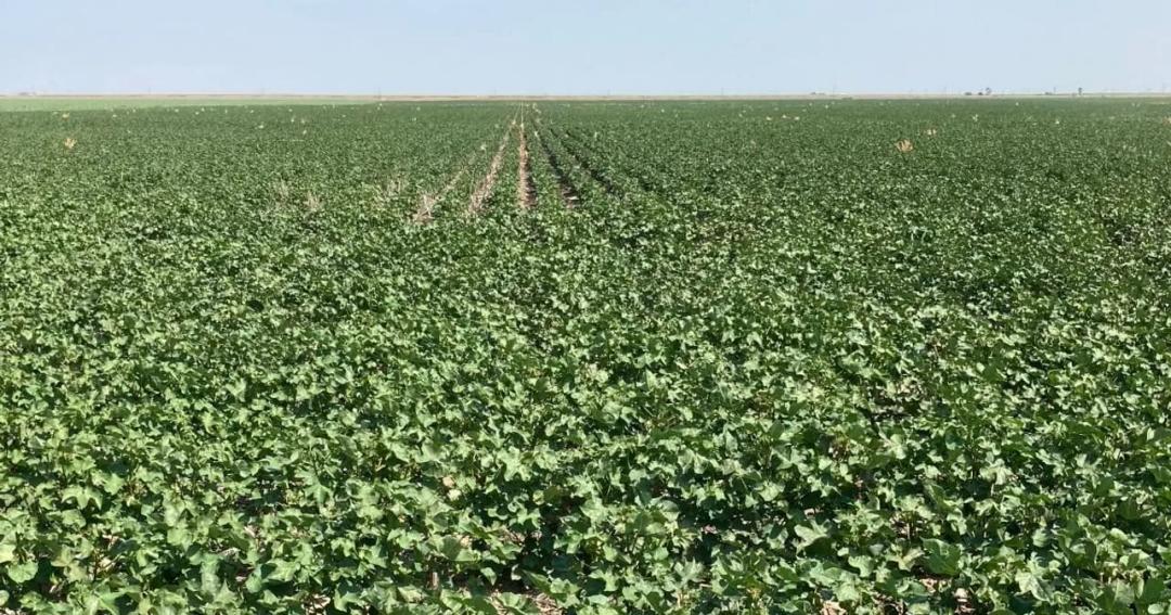 Seward County - 153 acres