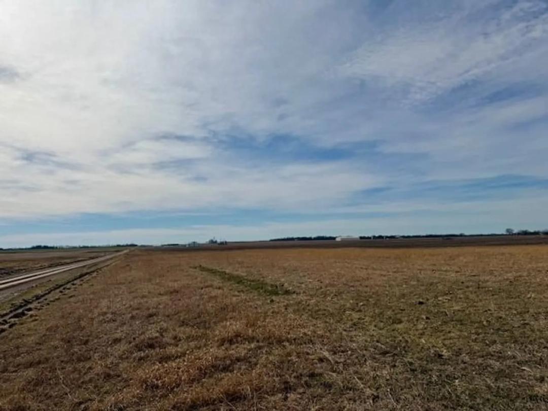 54+ Acres of productive farmground