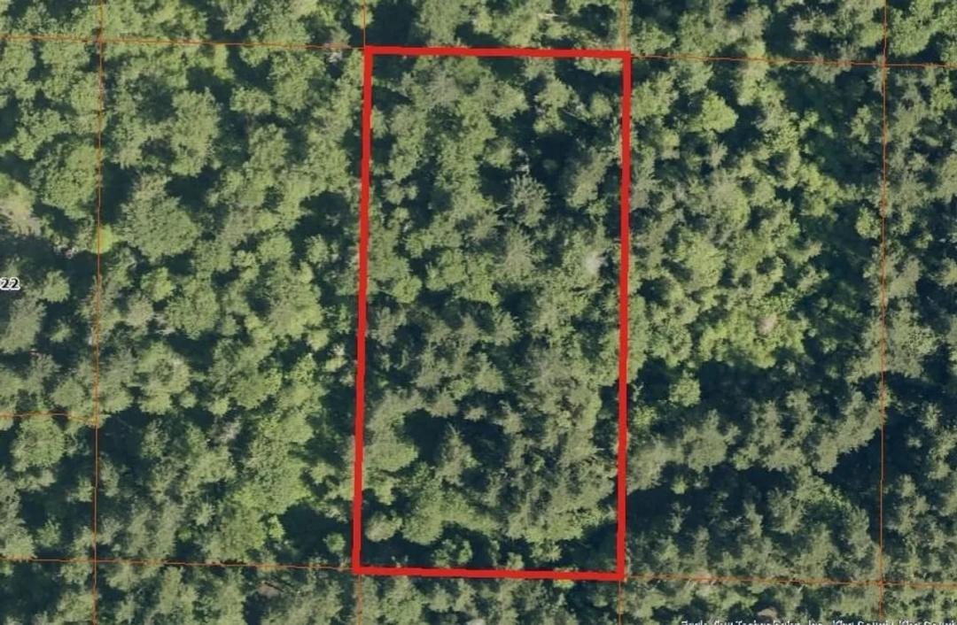 Issaquah - Tiger Mountain Vacant Lot