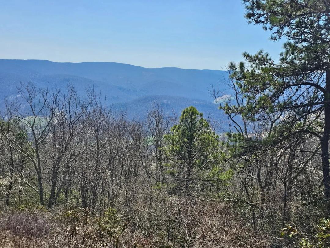 15.13 Acres at 0 Summit Drive, Tract A