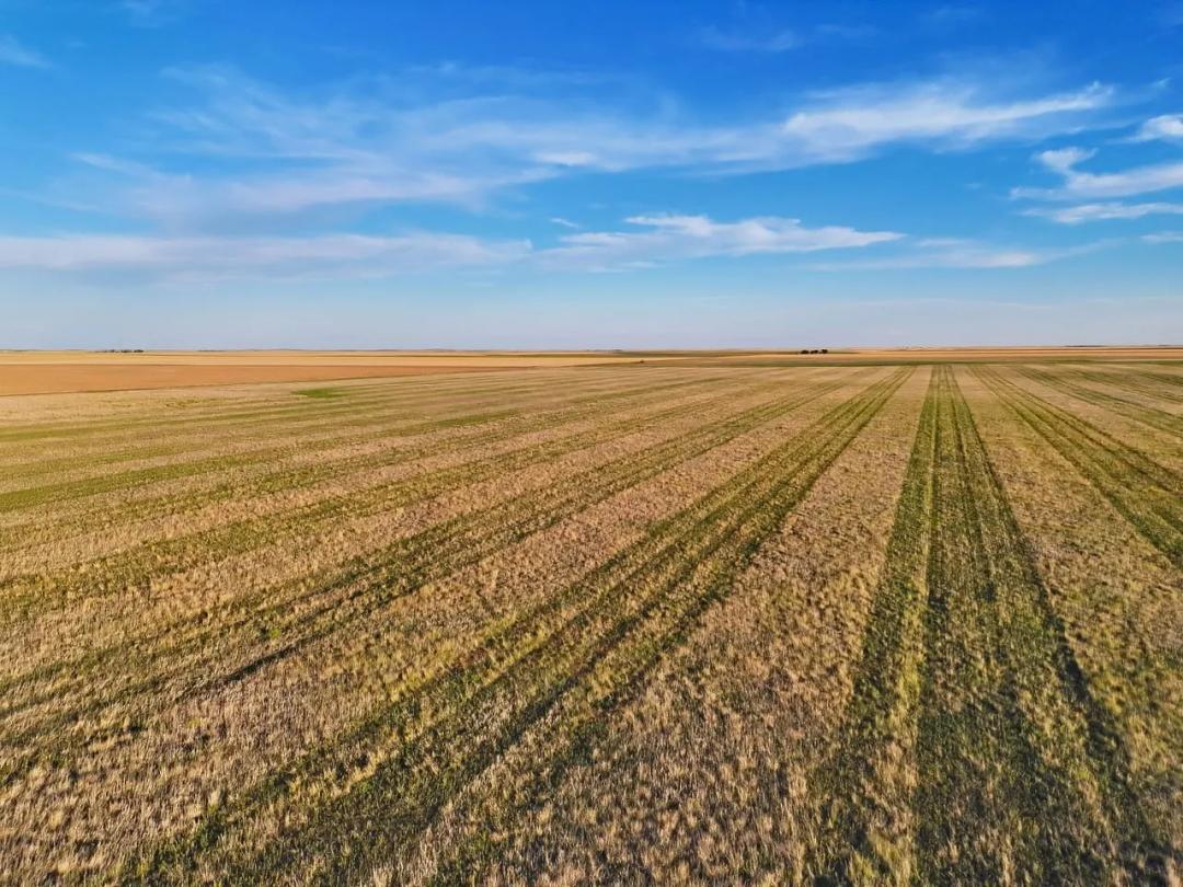 Quarter Section of Quality Cropland with Good Road Access 