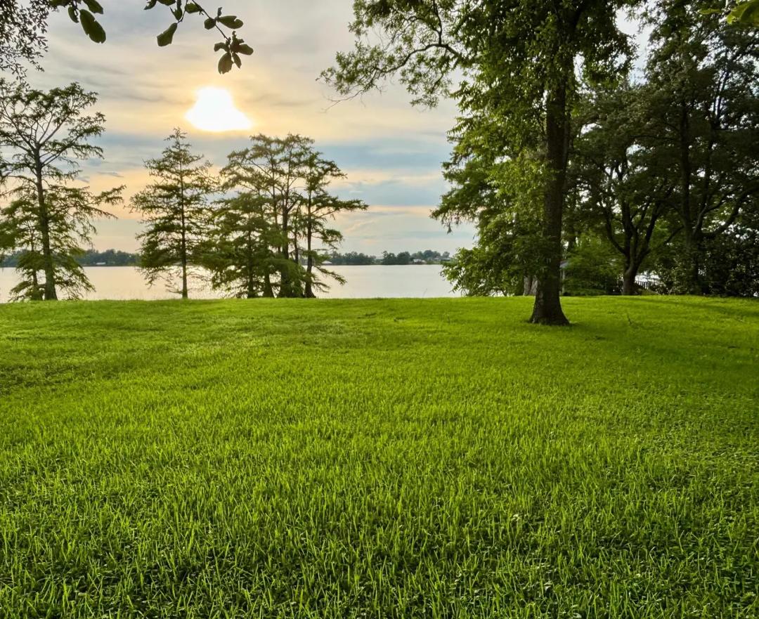 Most beautiful lot on Lake Bruin