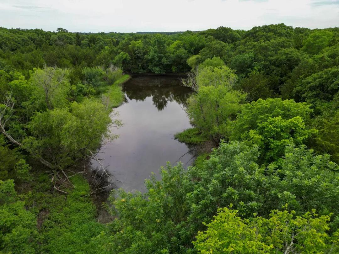 80 Acres with Pond, Timber, and Homestead Potential