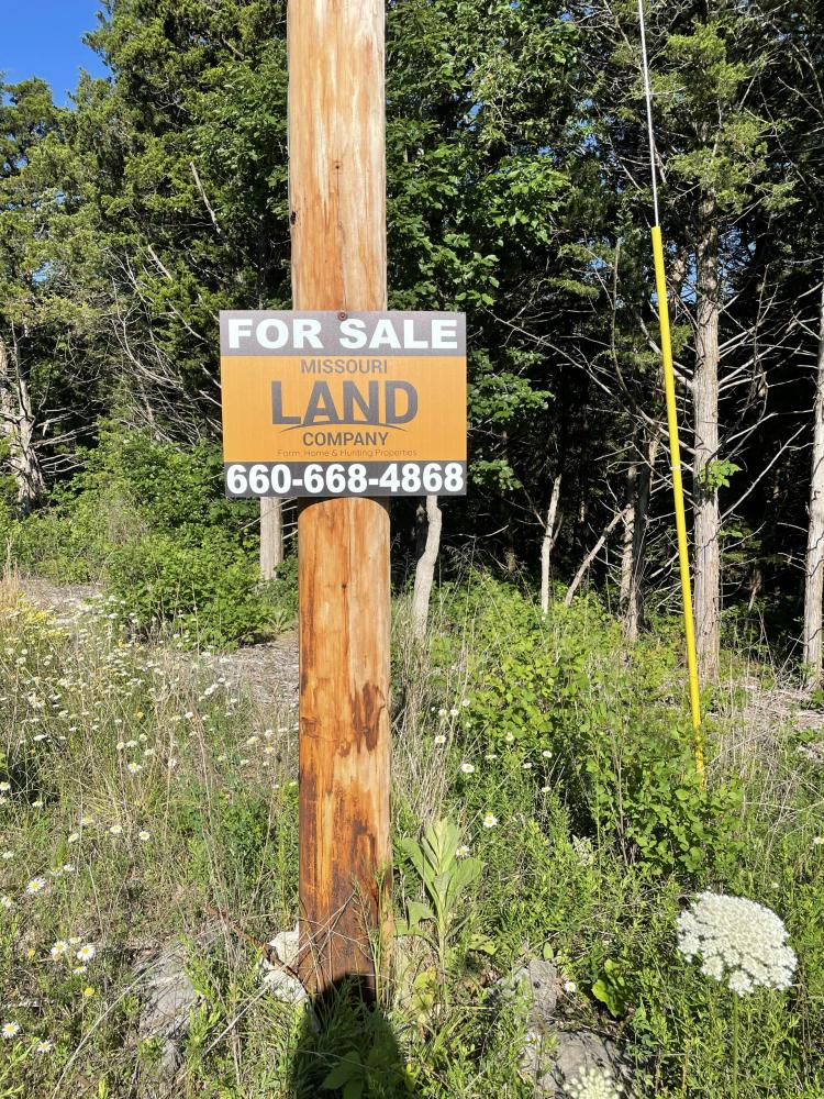 23+/- Acres  Adjoining Corp Land Benton County
