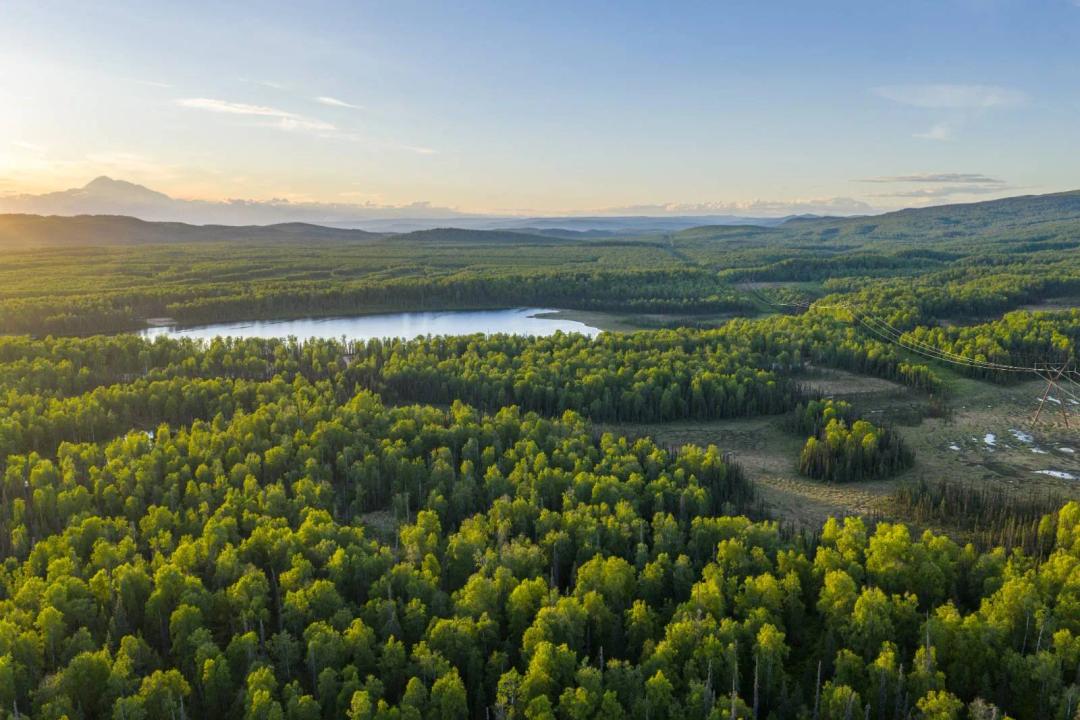 Unit 57 Baldy Lake Airpark