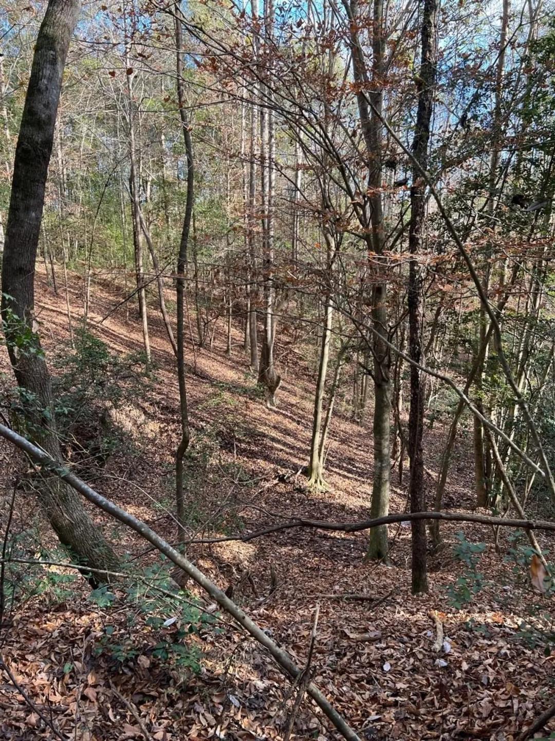 21 ac in Autauga Co near Independence 