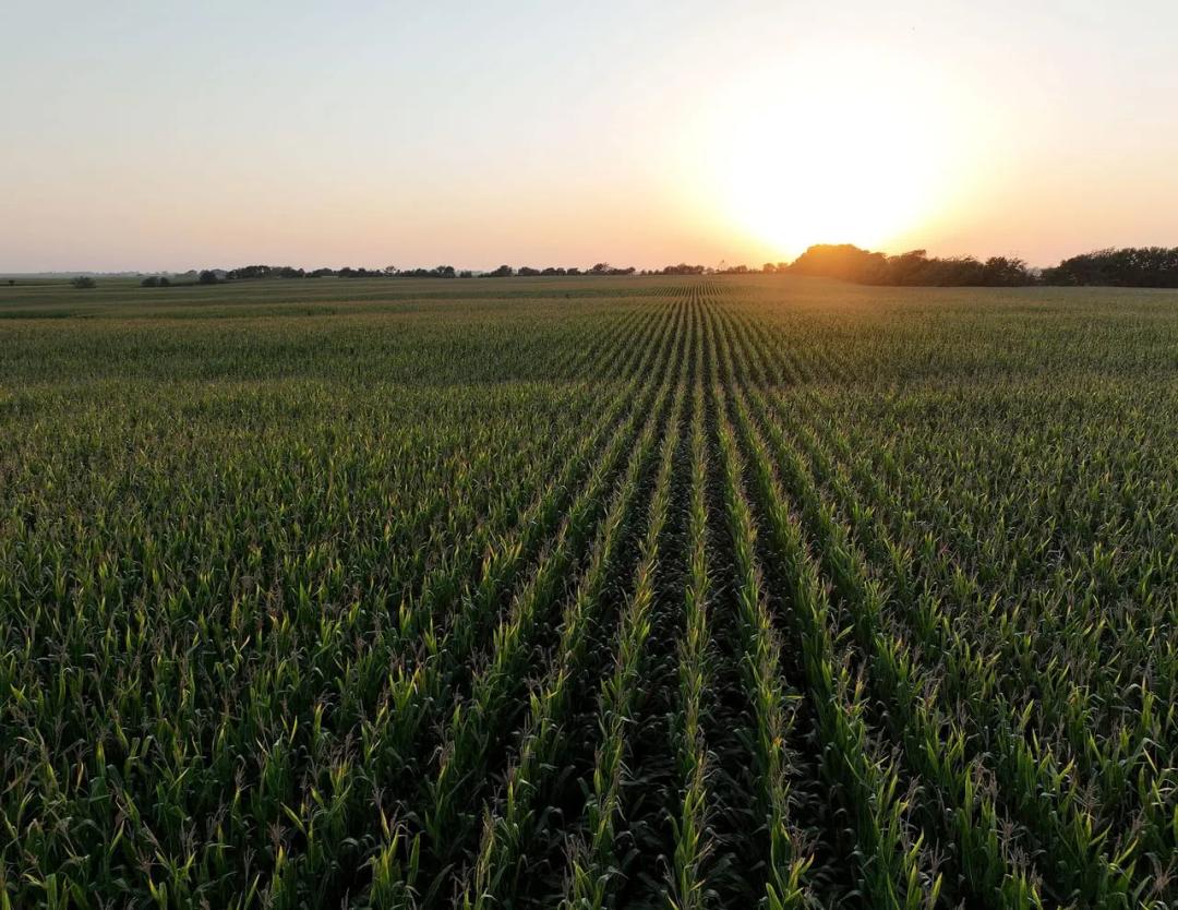 Listing #19767 - 200.00 acres in Adams County, IA