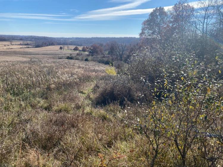 Brown County IL, 60.05 Acres CRP and timber touches Siloam Springs