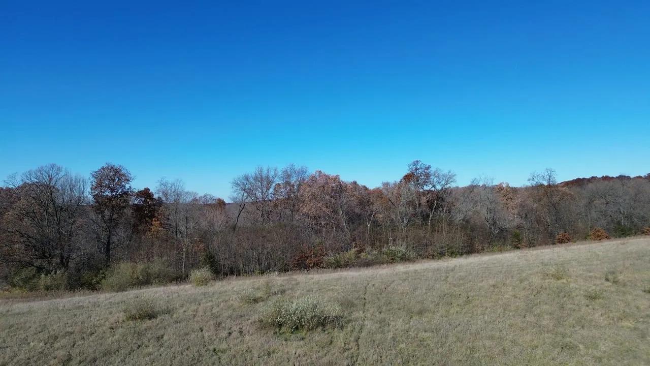 56086265-15