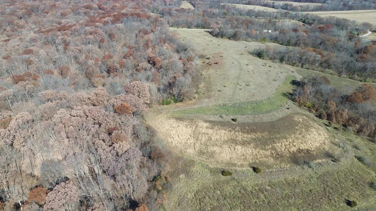 56086265-19