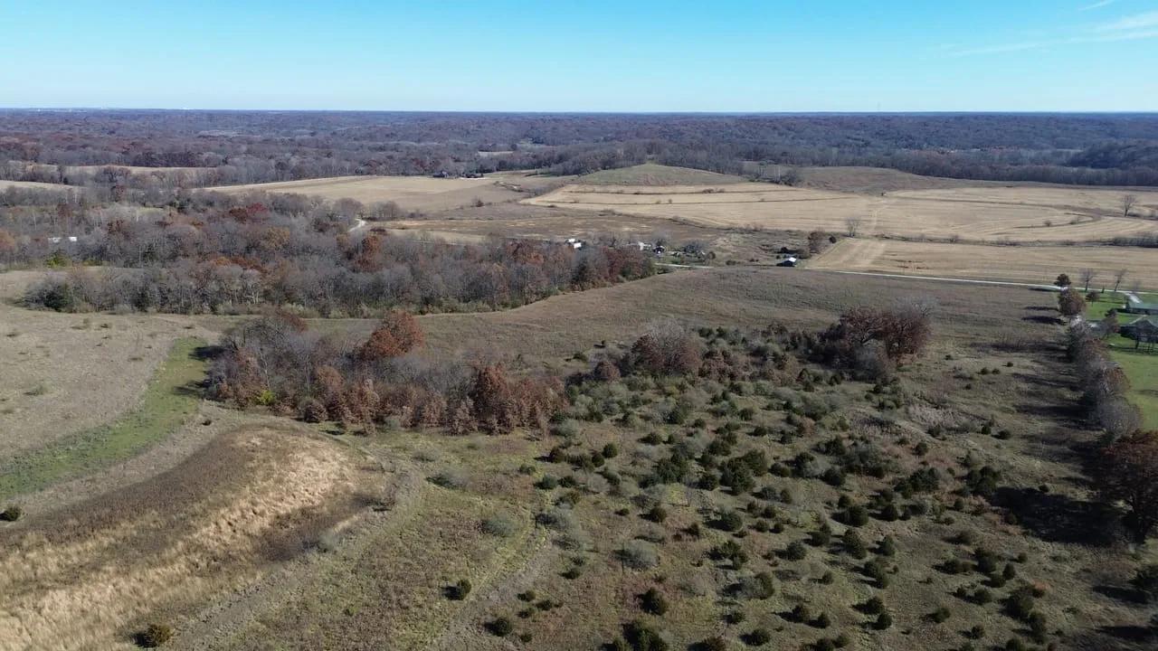 56086265-21