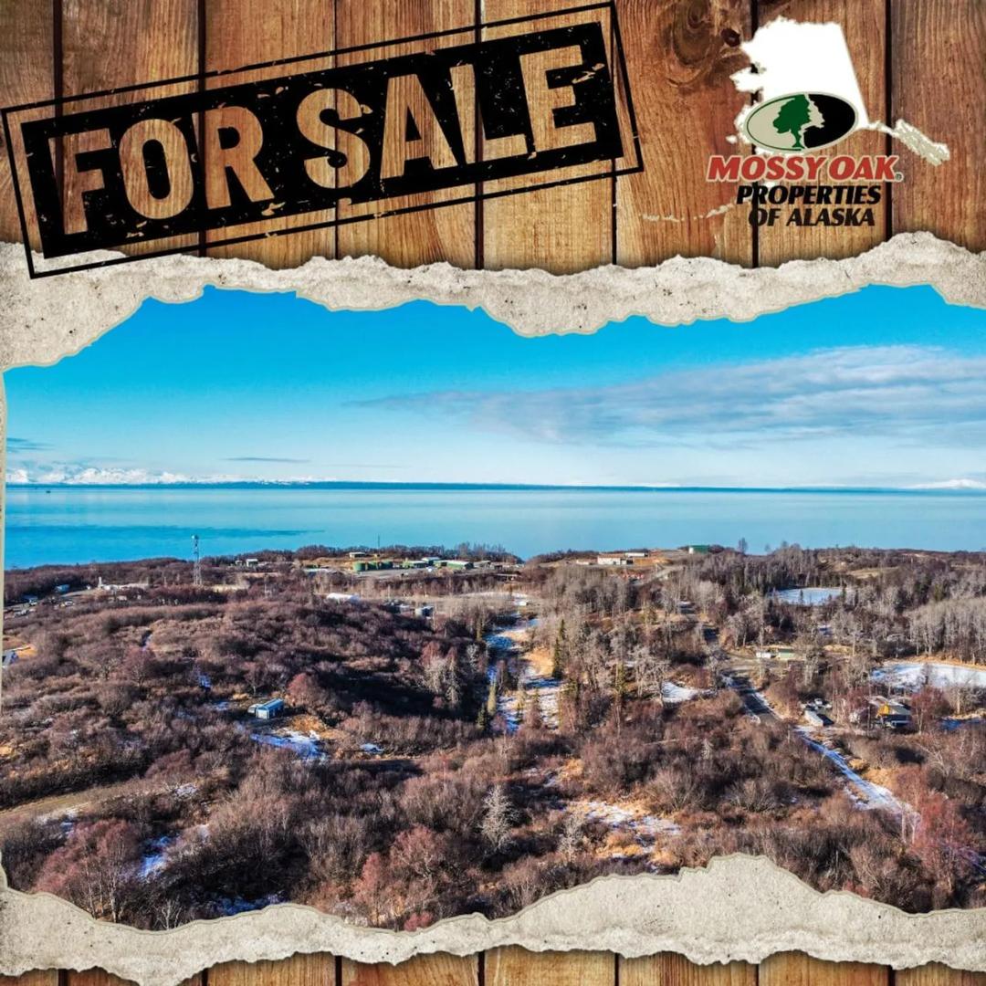 51580 Tordrillo Ln Nikiski