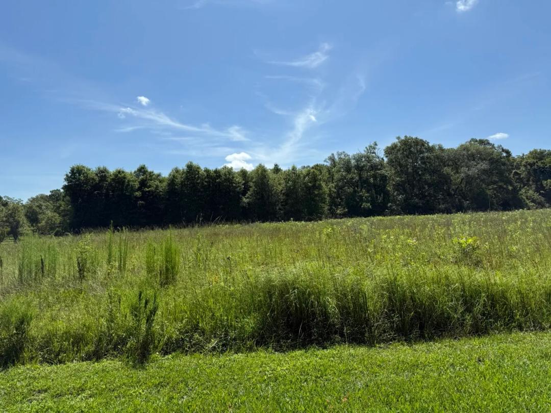 20.00 Acres at 0 Hwy 584