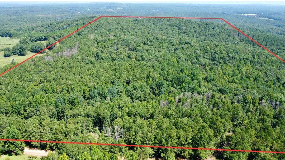 Mountain View Farm | 80 +/- Acres in Randolph County