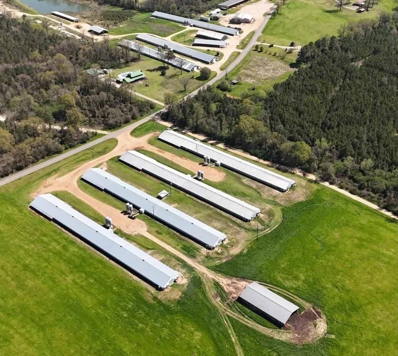 56152171-1