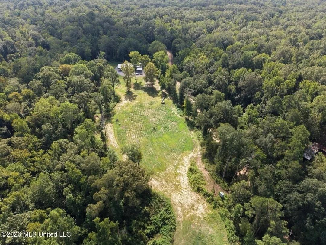281± Acre Hunting Property in Natchez, MS