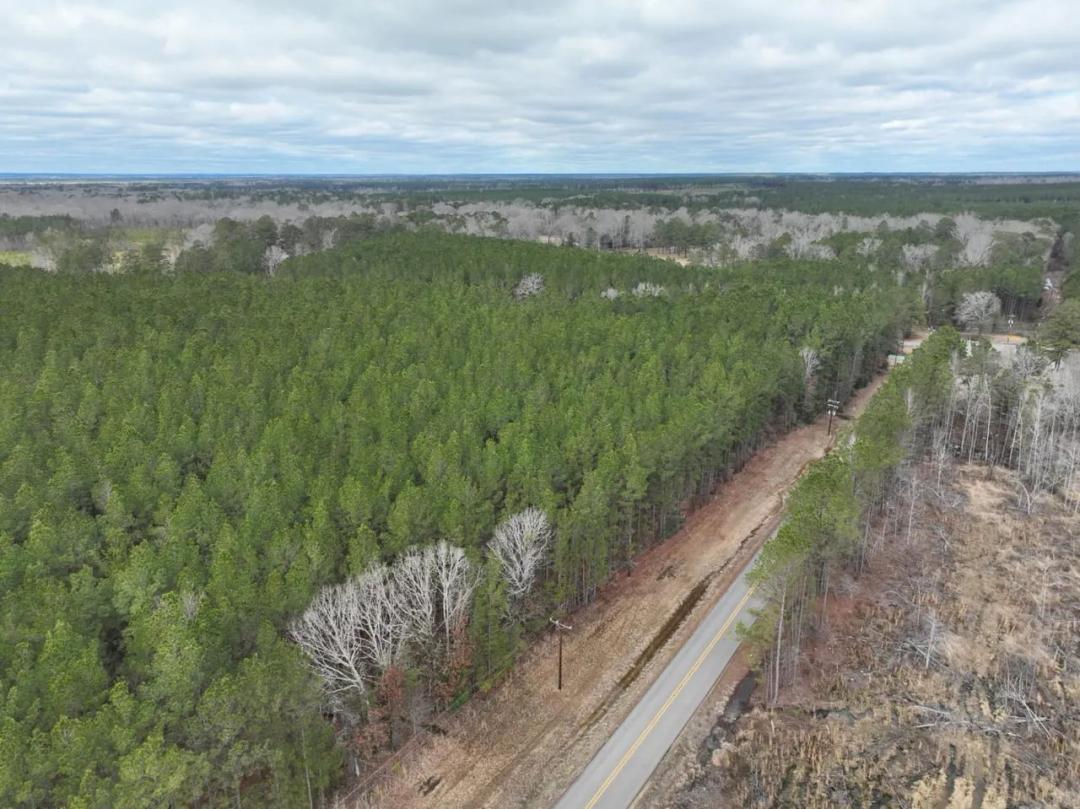 Opossum Point Timber Tract, LaSalle Parish, 31.82 Acres