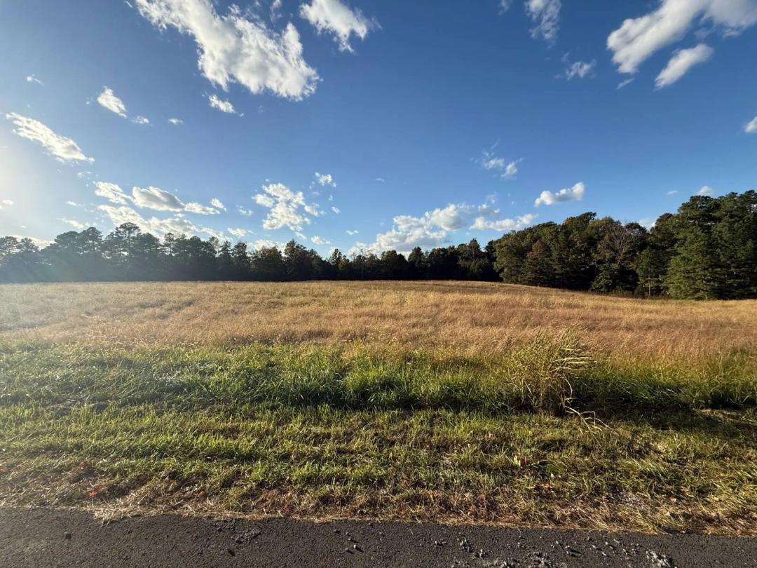 1 +/- Acre Building Lot at Lake Malone
